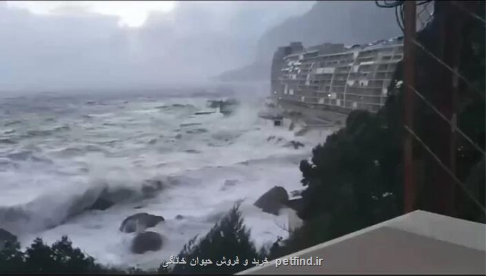 طوفان شدید در شبه جزیره کریمه برق حدود نیم میلیون نفر قطع شد