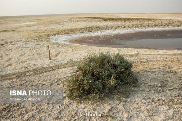 ۱۵ نکته درباره عوامل ایجاد کانون های گرد و غبار و راهکارهای کنترل آن