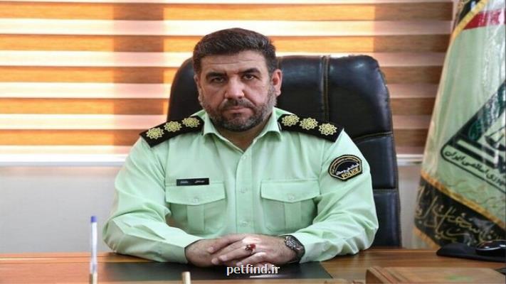 قاچاقچی عتیقه های ۳۰۰۰ ساله دستگیر شد