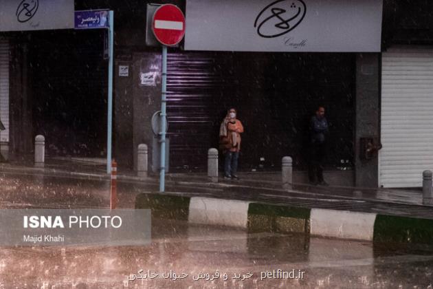 گزارش بارندگی های ۲۴ ساعت گذشته تهران