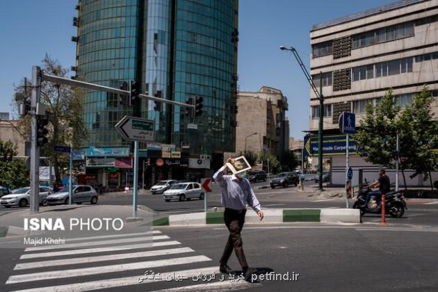 زمستانی گرم و کم بارش در انتظار تهران