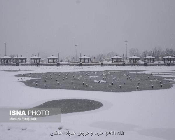 تداوم یخبندان تهران تا بامداد فردا