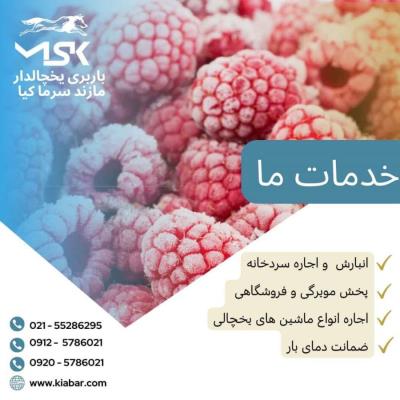 حمل مواد غذایی منجمد