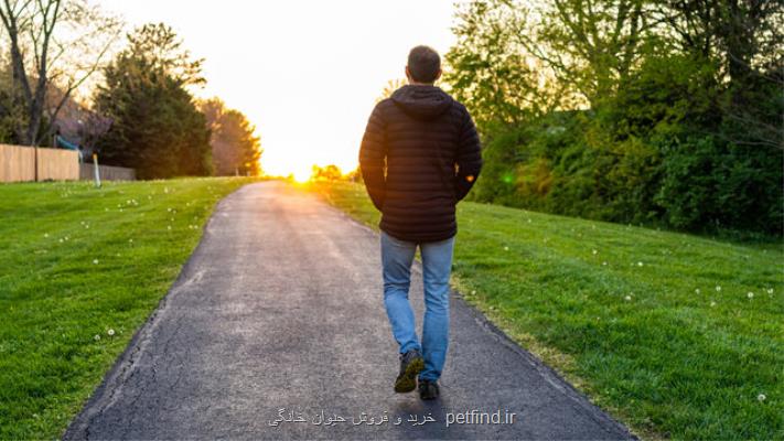 پیاده روی روزانه سلامت جسمانی را بهبود می بخشد