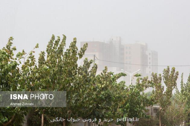 هشدار خیزش موقتی گرد و خاک در استان تهران