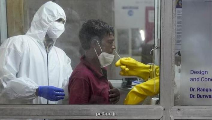 تازه ترین آمار جهانی کرونا مبتلایان و فوت شدگان روزانه