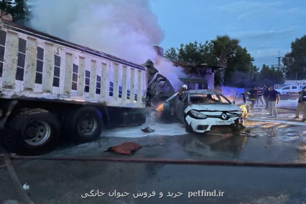 تصادف در جنوب ترکیه 43 کشته و زخمی برجا گذاشت