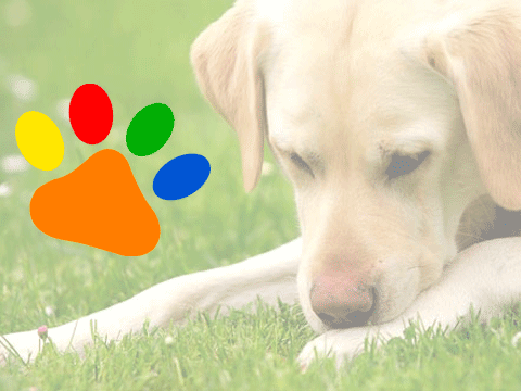 ضرورت پشتیبانی از کارآفرینان زن در حوزه تولید پوشاک