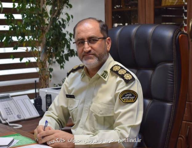 کشف انبار هزاران لباس قاچاق در بازار تهران