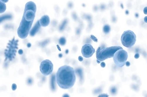 انتقال تجارب ایران در نظام مراقبت مقاومت میکروبی به کشورهای گروه جی پنج