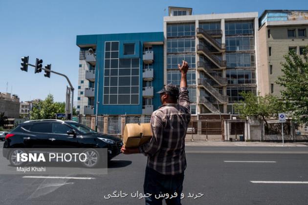 افزایش آلاینده ازن از بعداز ظهر امروز در هوای پایتخت