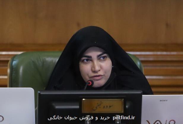ترک فعل مسئولان در ماجرای آلودگی هوا پیگیری قضایی شود