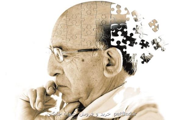 سطح تحصیلات عالی خطر ژنتیکی آلزایمر را تعدیل می کند
