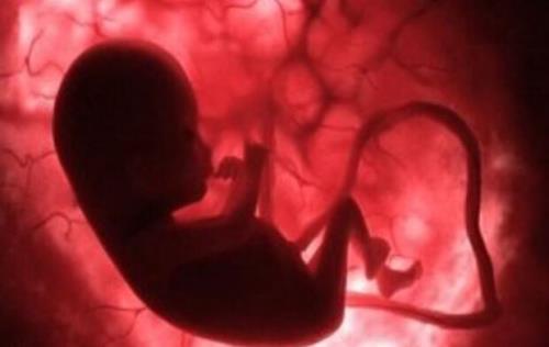 دود اگزوز خودرو به حاملگی زنان لطمه می زند