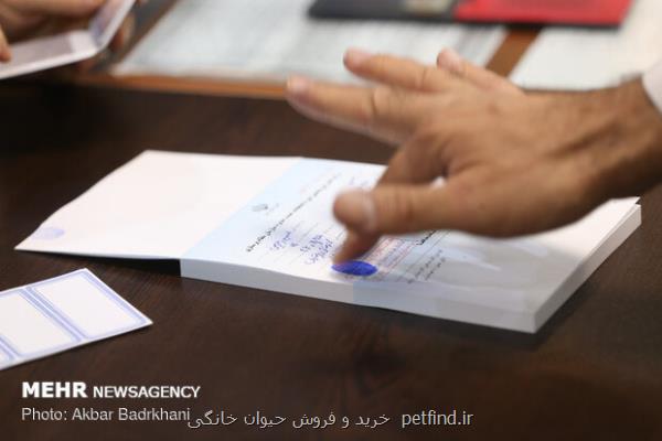 افزایش زمان گرفتن رأی در انتخابات نظام پرستاری