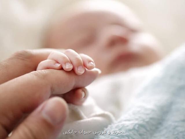 استفاده از دستمال مرطوب فاقد مواد آنتی باکتریال برای پوست نوزاد