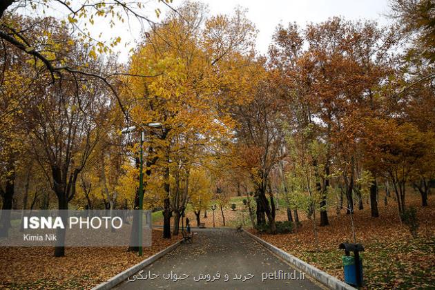 خروج سامانه بارشی از کشور و بازگشت آلودگی هوا در شهر های صنعتی