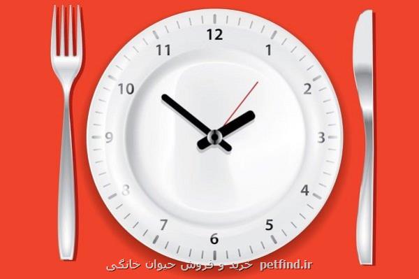 خوردن سریع وعده های غذایی ریسک بیماری قلبی را کاهش می دهد
