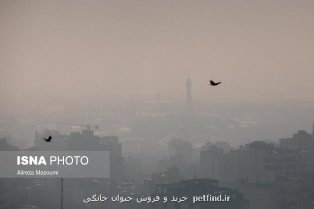تنفس ۲۱ روز هوای نامطلوب طی آذر سال جاری