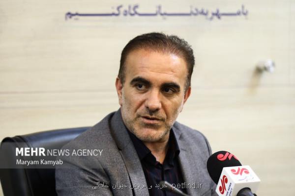 گلایه رئیس نظام پزشکی از کاهش غیرقانونی تعرفه ها