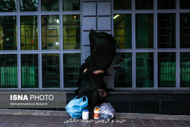 پیش بینی عصر بادی در تهران