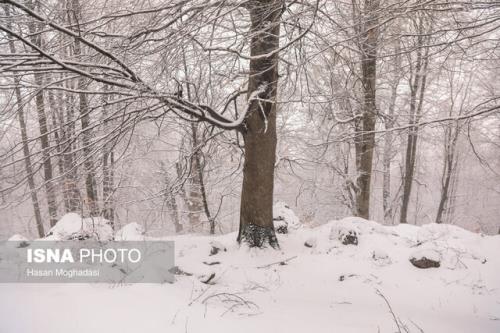 بارش باران و کاهش دما در بعضی استان ها