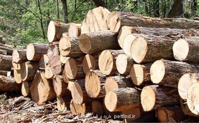 عمده چوب های قاچاق در اصفهان، بلوط هستند