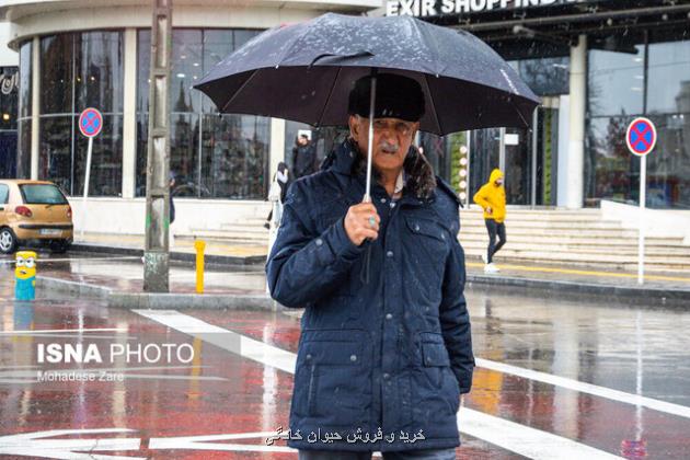 ایران بارانی می شود