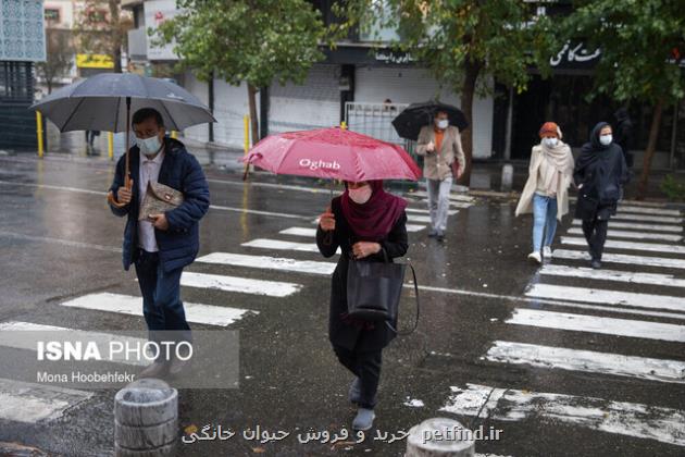 سال جدید بارانی شروع می شود