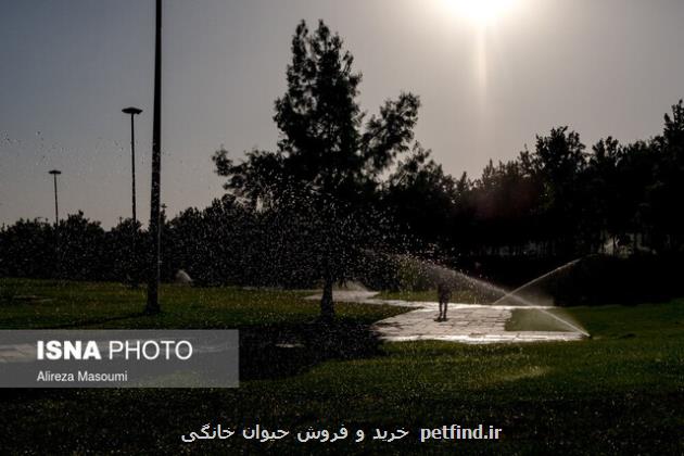 افزایش دمای تهران تا شنبه