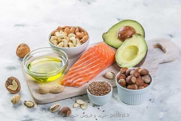 معرفی بهترین رژیم غذایی برای سلامت مغز