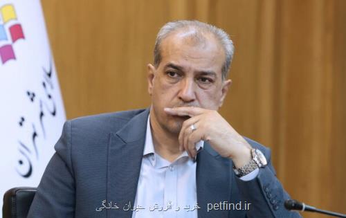 دعوت از رئیس سازمان محیط زیست به شورای شهر برای حل گره فاز 2 آزاد راه شهید شوشتری