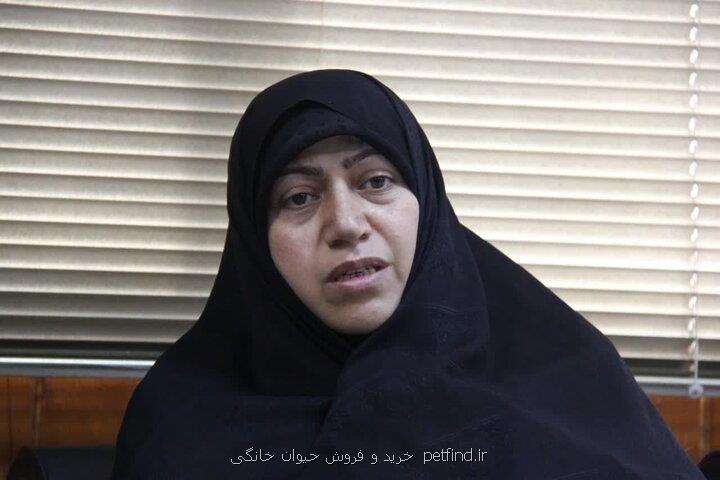 مادران حامله باید یک ساعته به مراکز زایمان ایمن برسند