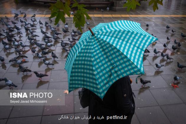 ورود سامانه بارشی به کشور طی پس از ظهر جمعه