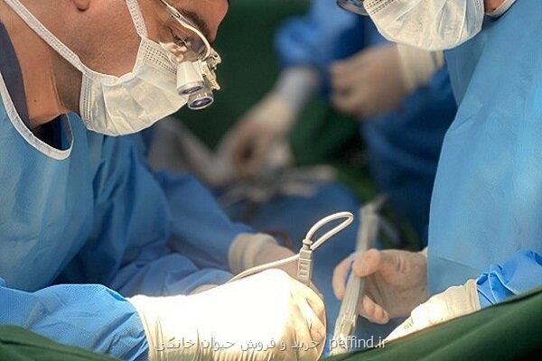 آمادگی مالزی جهت استفاده از تجربیات ایران در پیوند کبد و کلیه