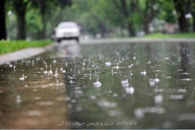 صدور اخطار زرد هواشناسی