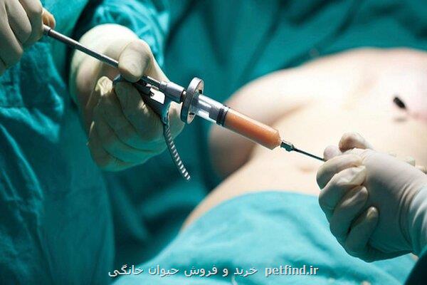 بوتاکس برای کاهش وزن؟ جراح عمومی پاسخ داد