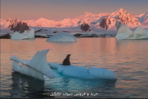 تشدید ذوب یخچال های طبیعی تاجیکستان خواهان اقدام فوری جهانی شد