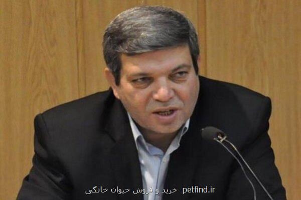 توسعه اجتماعی بدون مشارکت افراد دارای معلولیت، ناقص است