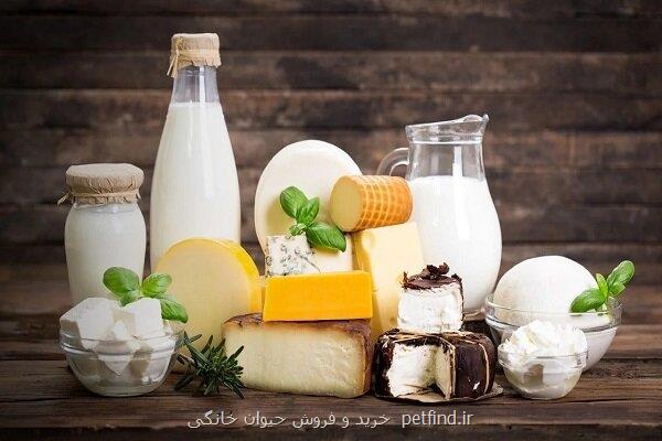 آیا لبنیات می تواند سبب دیدن کابوس های شبانه شود؟