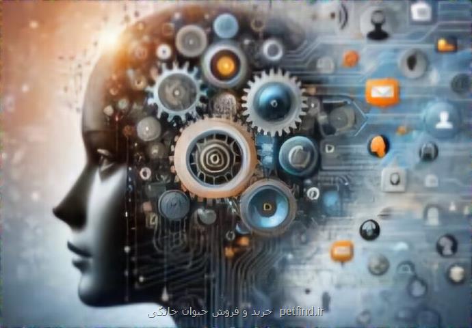 تشخیص و مداخله زودهنگام، کلید پیش گیری از توان خواهی ذهنی در کودکان