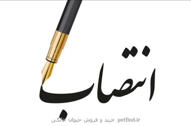 معاون میراث فرهنگی استان تهران منصوب گردید