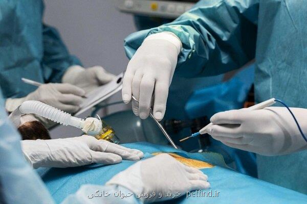 طبابت با دست های آلوده به پول!