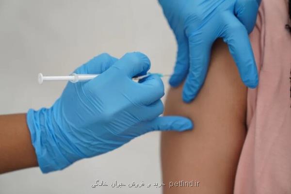 واردات ۳ و نیم میلیون دوز واکسن چهارظرفیتی آنفولانزا