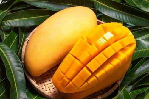 سلطان میوه های استوایی با خواص بی نظیر برای بدن