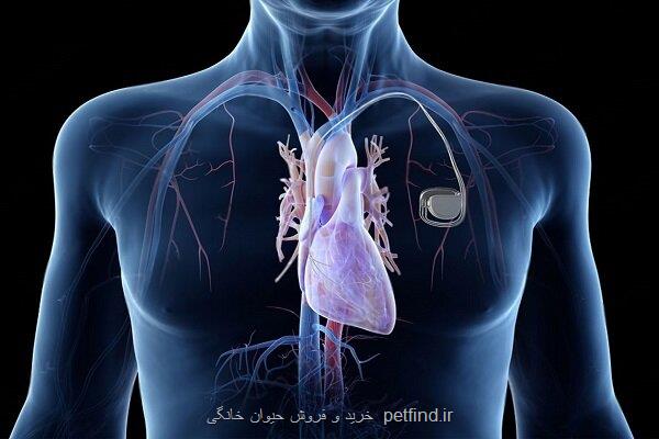 داروی آرتروز ممکنست فوایدی برای سلامت قلب داشته باشد