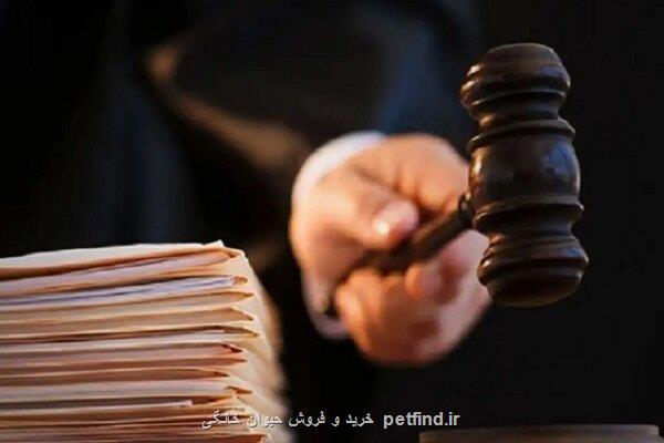 اعلام جرم دادستانی مقابل عوامل تولید گزارش در مورد آمار برخی نوزادان
