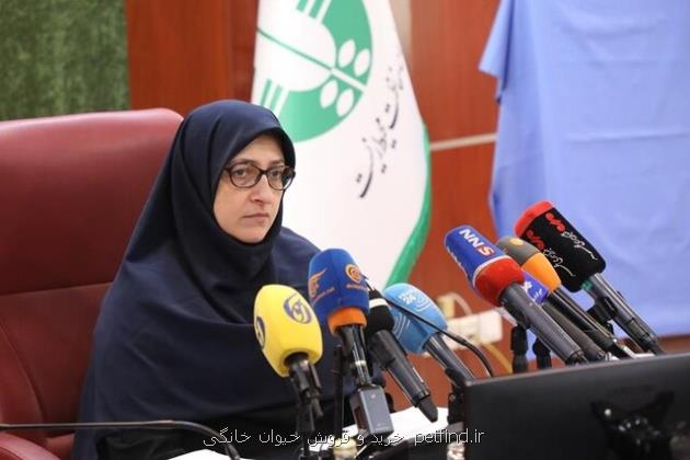 برخی دستگاه ها در کوشش برای حذف نقش سازمان محیط زیست در امور هستند
