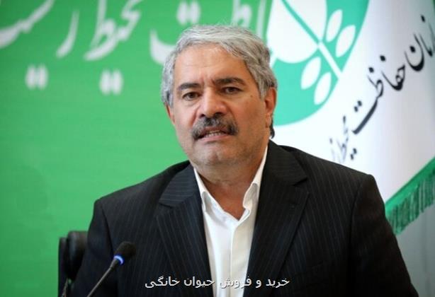 سفر معاون محیط زیست به افغانستان