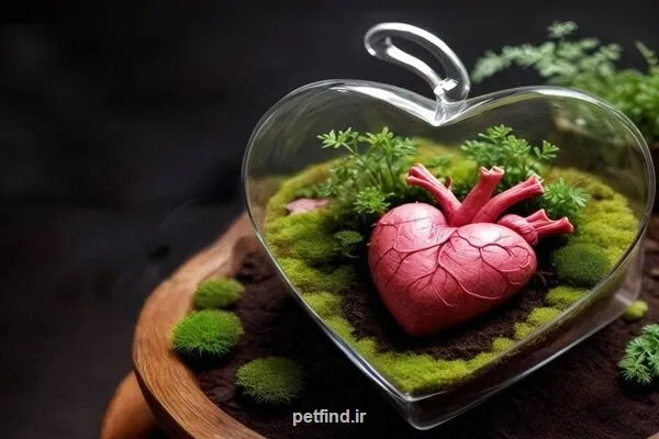 ثبت ۱۲۰۰ اهدای عضو و ۱۰۰۰ پیوند موفق در سال ۱۴۰۳